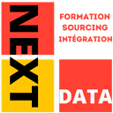 NextData Logo